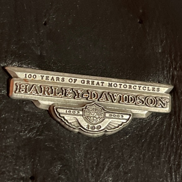 COPY - EUC Ladies Leather jacket with fringe and braided accents. - Picture 4 of 13